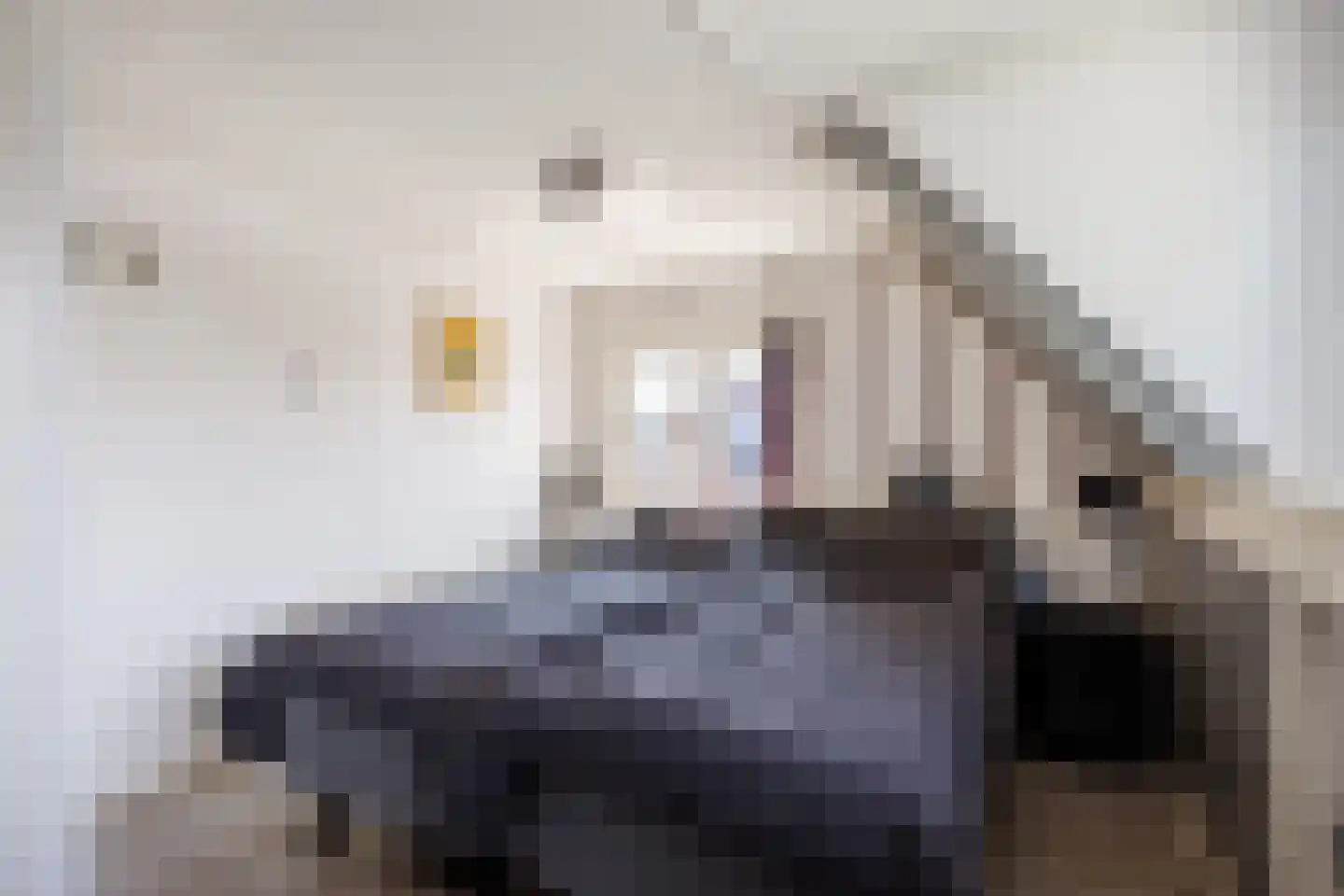 Redger van Bolhuisstraat 14 Warffum thumbnail 23