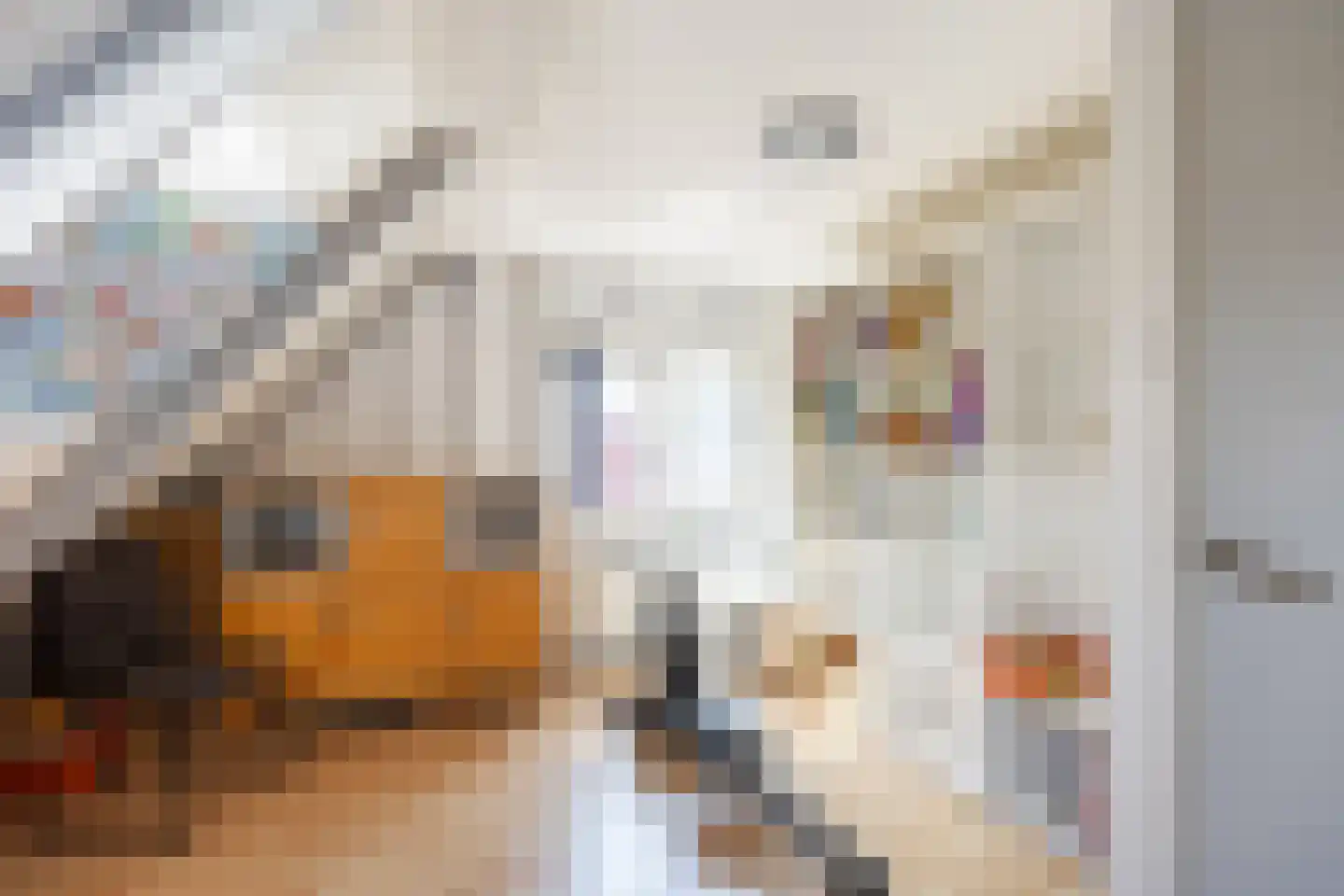 Redger van Bolhuisstraat 14 Warffum thumbnail 26