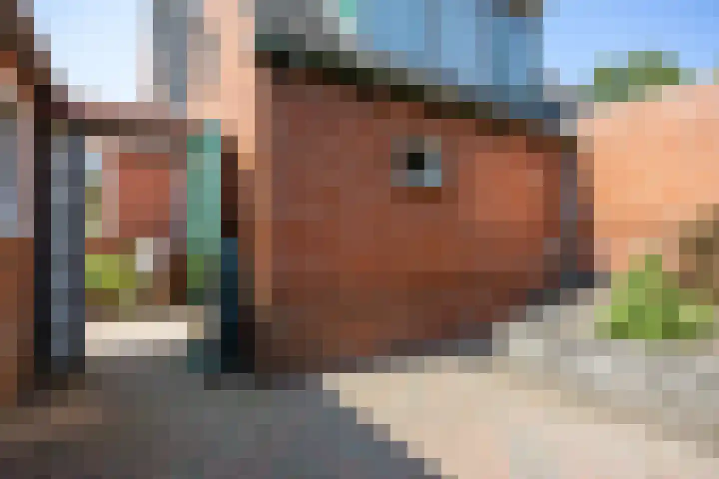 Redger van Bolhuisstraat 14 Warffum thumbnail 33