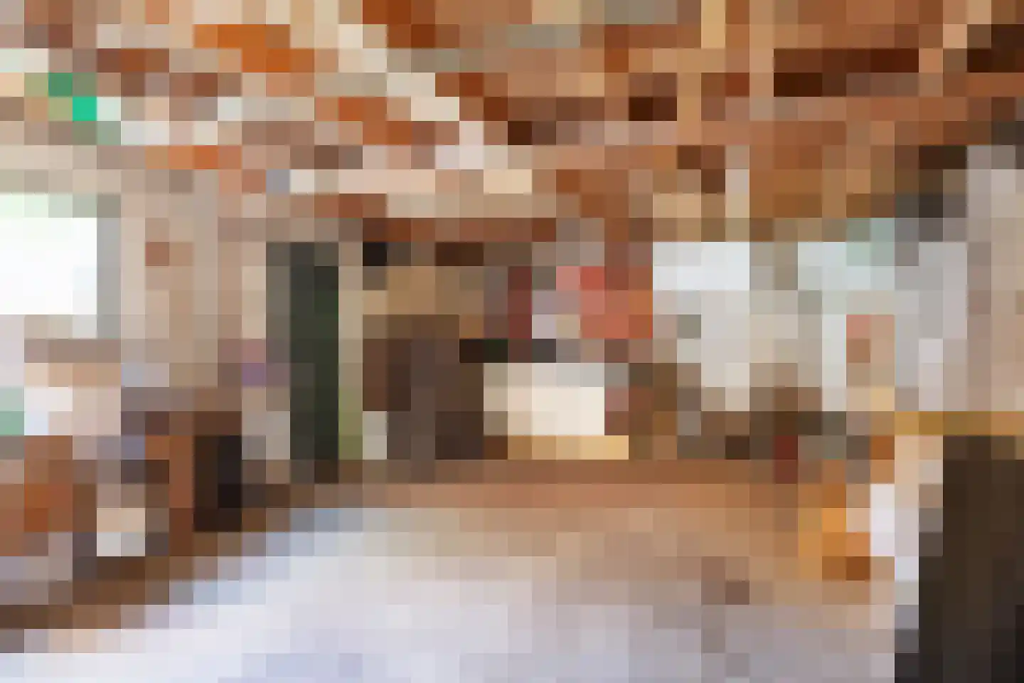 Redger van Bolhuisstraat 14 Warffum thumbnail 38