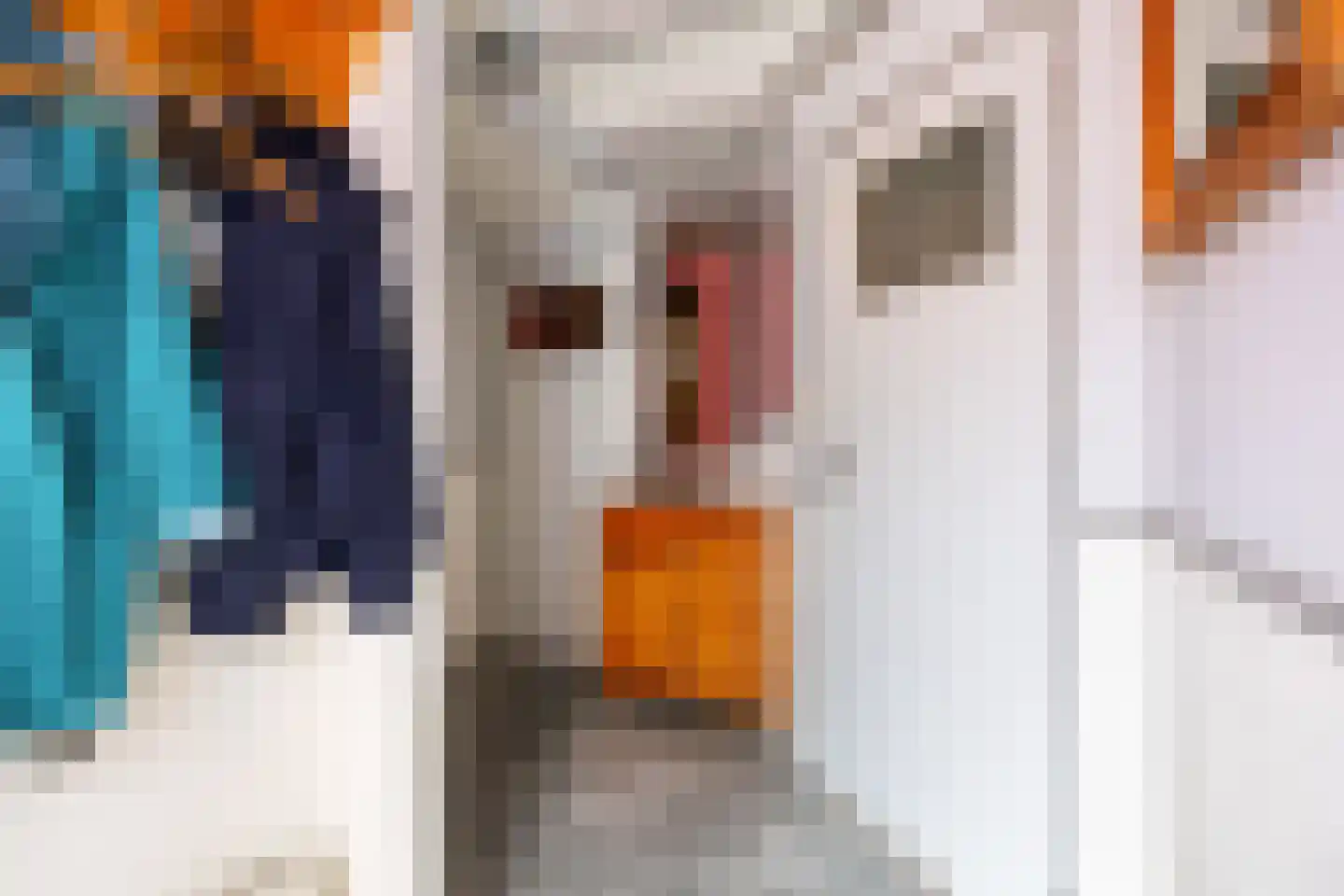 Redger van Bolhuisstraat 14 Warffum thumbnail 9
