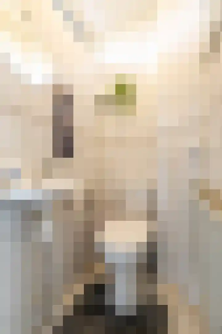 Redgerstraat 7 Ten Boer thumbnail 11
