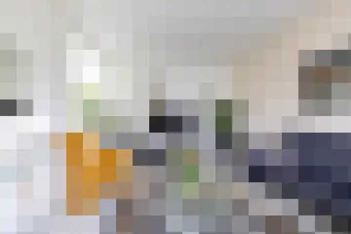 Redgerstraat 7 Ten Boer thumbnail 13
