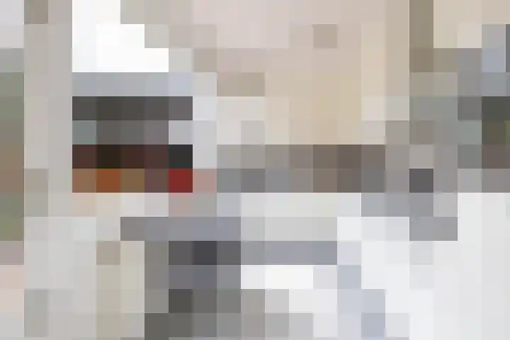 Redgerstraat 7 Ten Boer thumbnail 18
