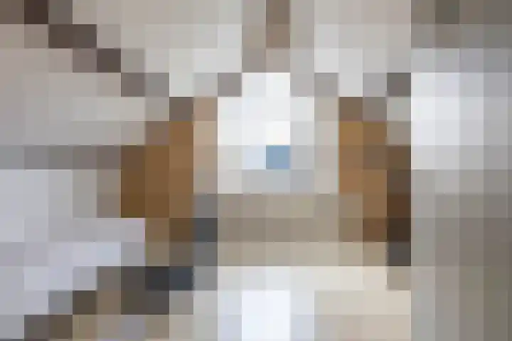 Redgerstraat 7 Ten Boer thumbnail 35
