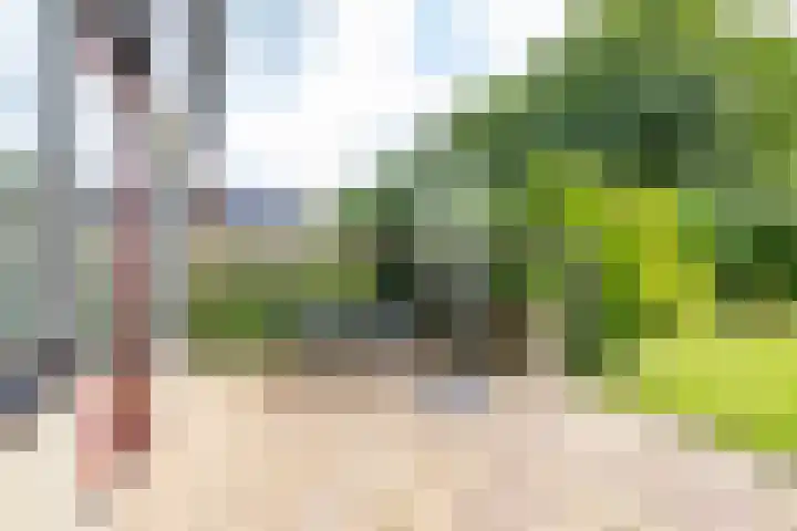 Redgerstraat 7 Ten Boer thumbnail 41