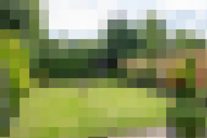 Redgerstraat 7 Ten Boer thumbnail 42