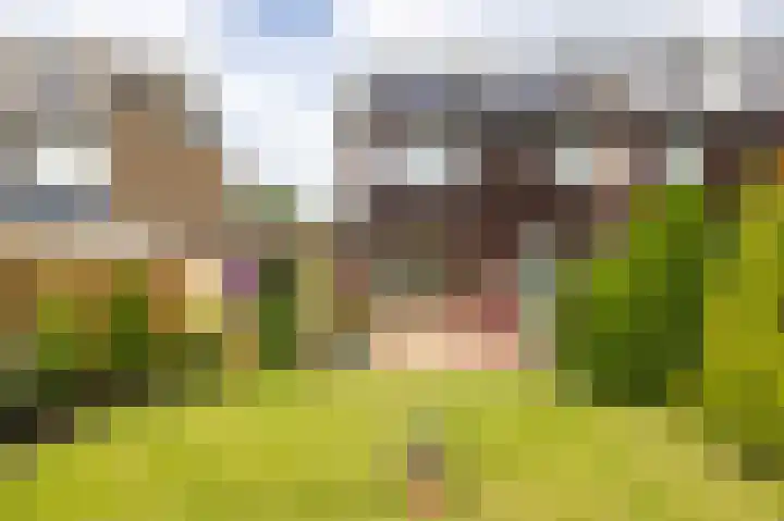Redgerstraat 7 Ten Boer thumbnail 43