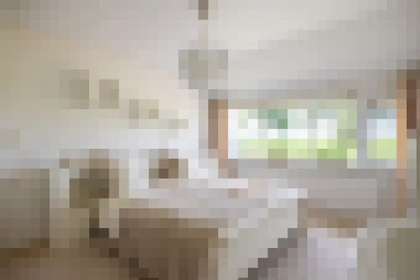 Redgerstraat 7 Winsum thumbnail 30