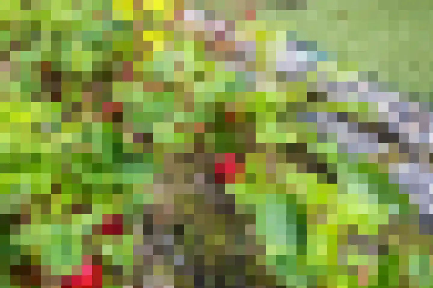 Redgerstraat 7 Winsum thumbnail 49