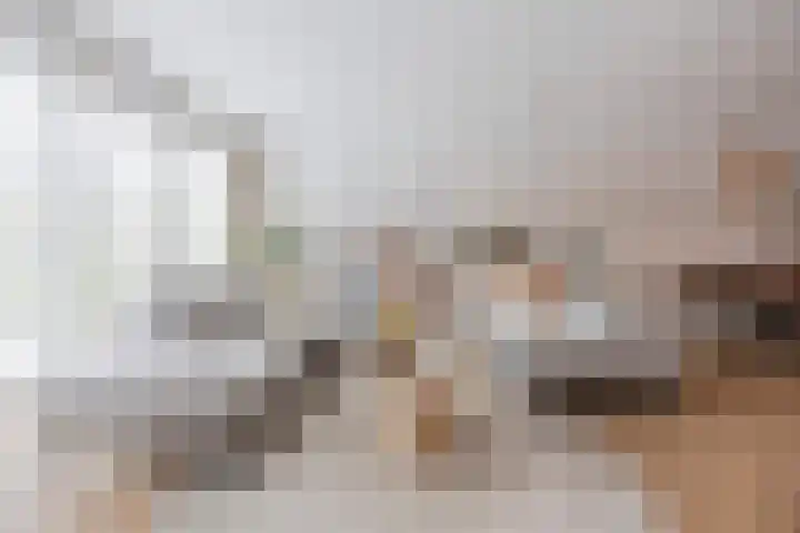 Redoute 11 Steenbergen thumbnail 12