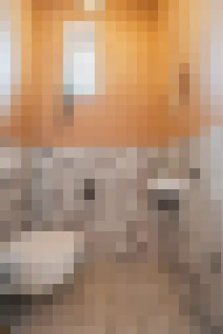 Redoute 11 Steenbergen thumbnail 22