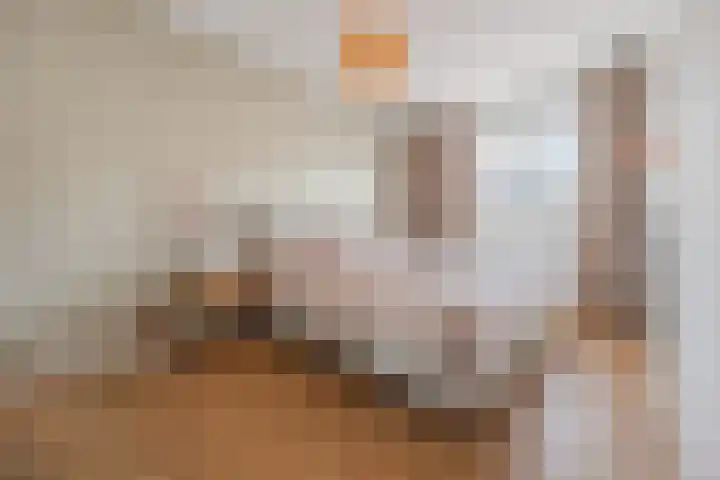 Redoute 11 Steenbergen thumbnail 25