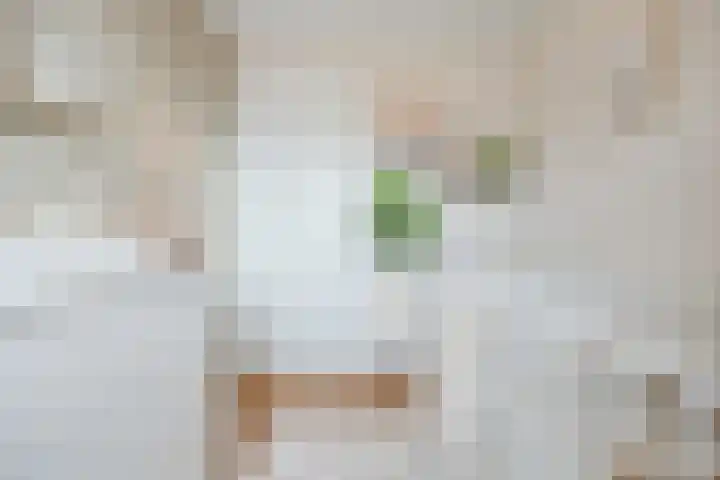 Redoute 11 Steenbergen thumbnail 29