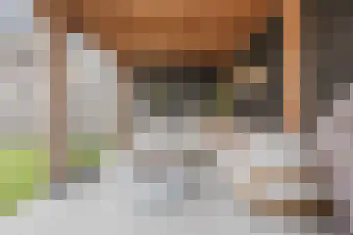 Redoute 11 Steenbergen thumbnail 48