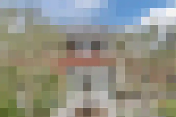 Redoute 11 Steenbergen thumbnail 55