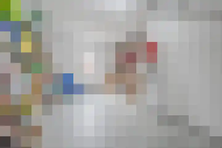 Redoute 11 Steenbergen thumbnail 57