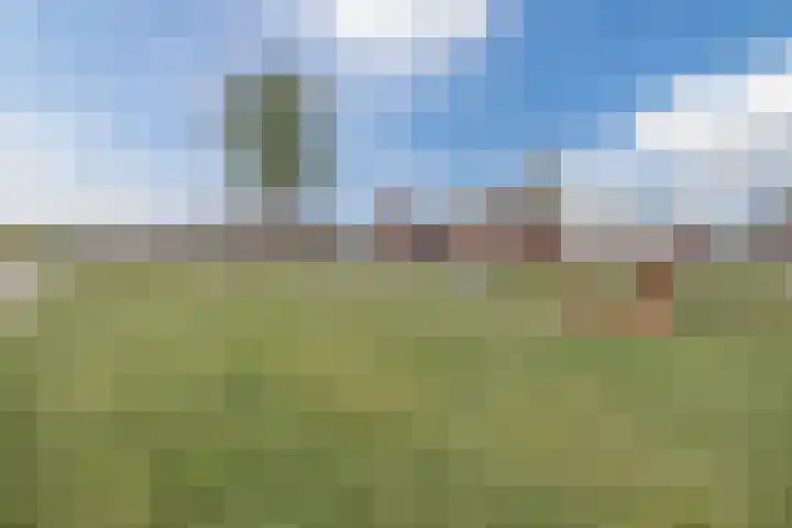Redoute 11 Steenbergen thumbnail 61
