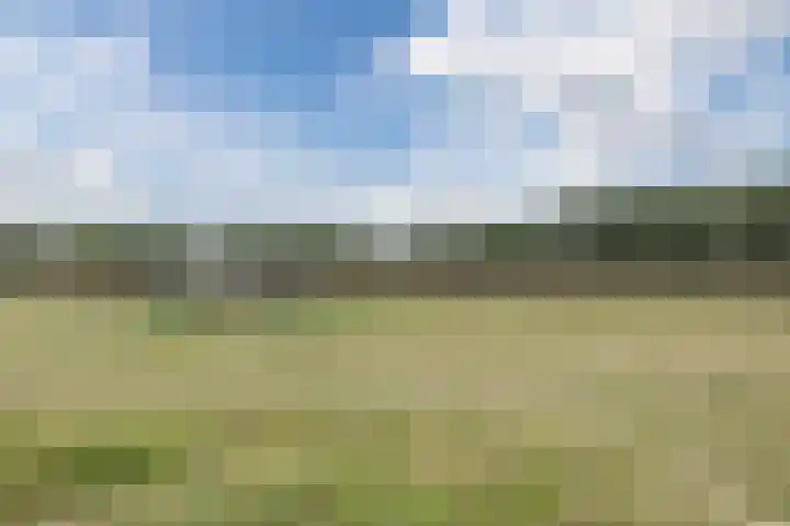 Redoute 11 Steenbergen thumbnail 62