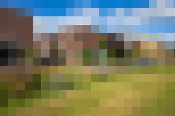 Redoute 14 Groningen thumbnail 11