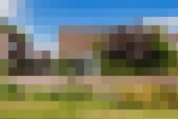 Redoute 14 Groningen thumbnail 13