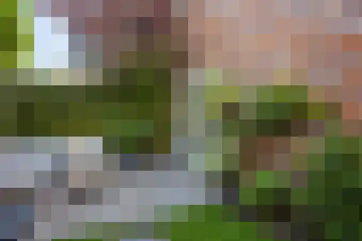 Redoute 14 Groningen thumbnail 14