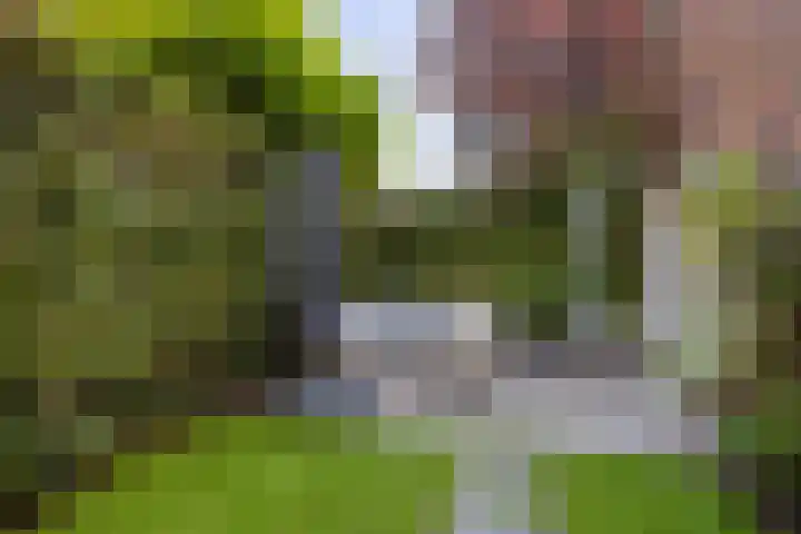 Redoute 14 Groningen thumbnail 15