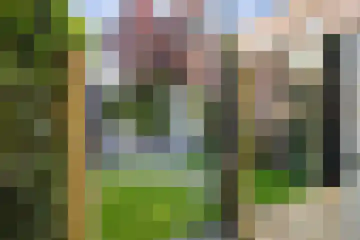 Redoute 14 Groningen thumbnail 16