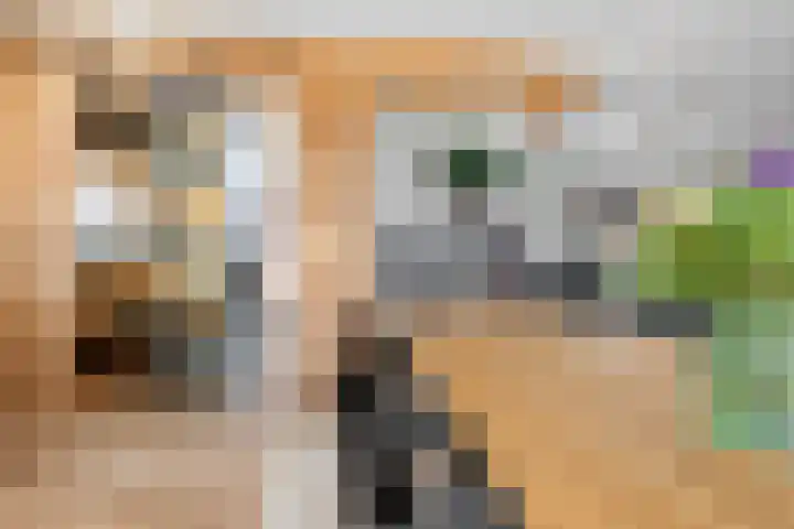 Redoute 14 Groningen thumbnail 24