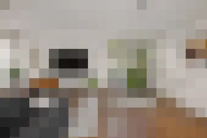 Redoute 14 Groningen thumbnail 26