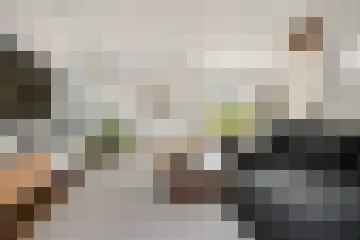 Redoute 14 Groningen thumbnail 29
