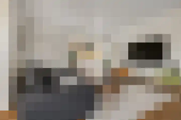 Redoute 14 Groningen thumbnail 30