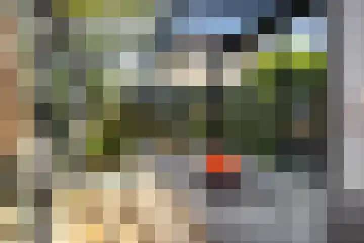 Redoute 14 Groningen thumbnail 36