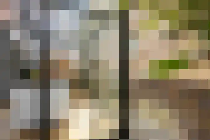 Redoute 14 Groningen thumbnail 37