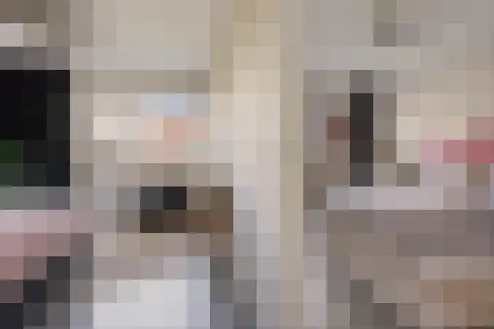 Redoute 14 Groningen thumbnail 47