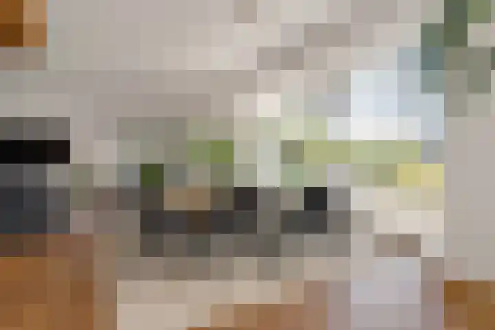 Redoute 14 Groningen thumbnail 6