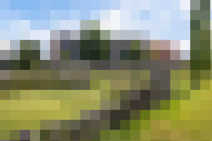 Redoute 14 Groningen thumbnail 8