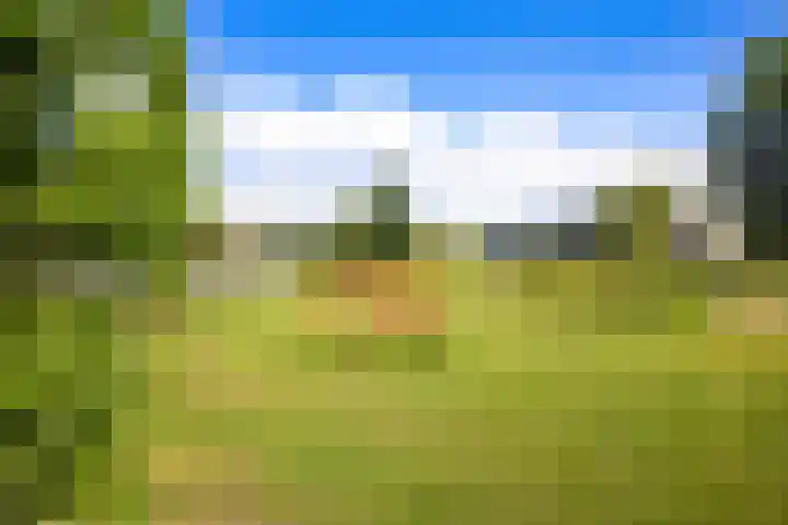 Redoute 14 Groningen thumbnail 9