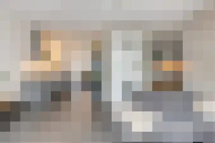 Ree 105 Veldhoven thumbnail 10
