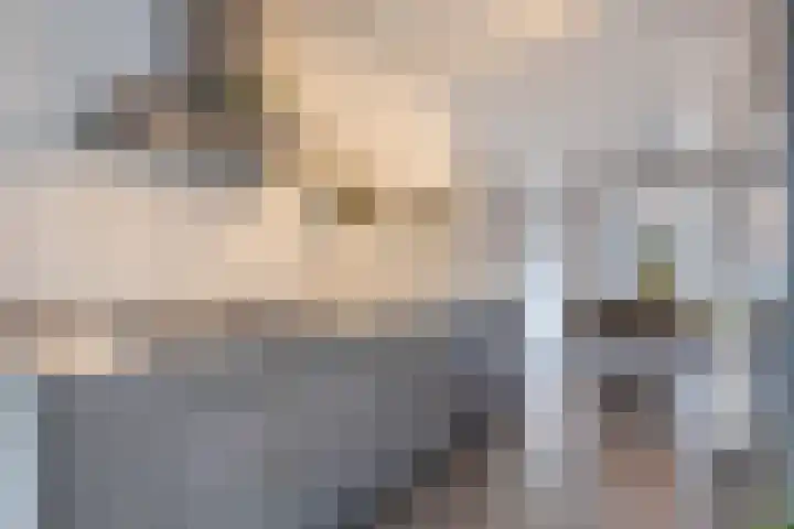 Ree 105 Veldhoven thumbnail 11