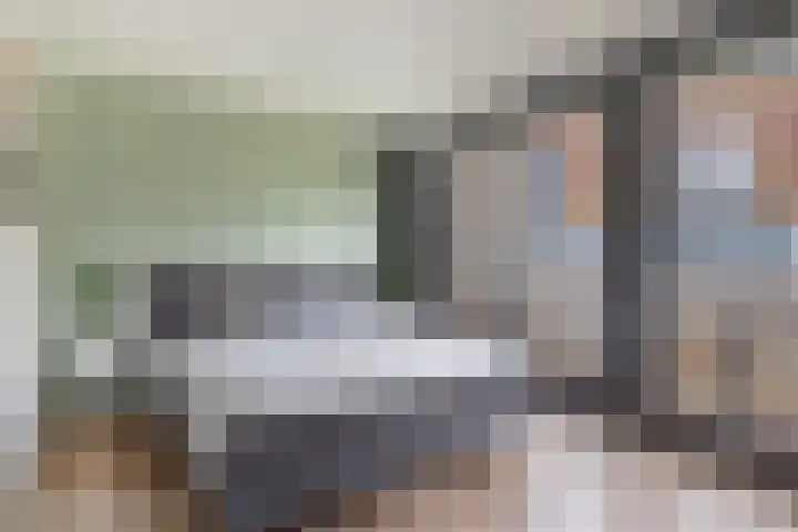 Ree 105 Veldhoven thumbnail 15