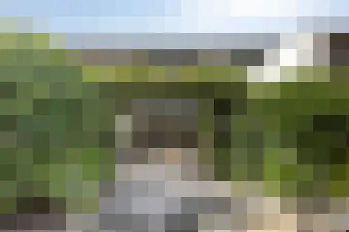 Ree 105 Veldhoven thumbnail 28