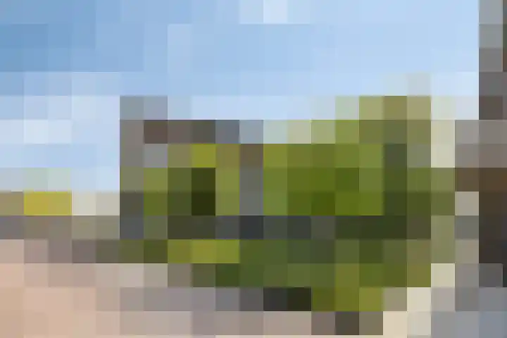Ree 105 Veldhoven thumbnail 30