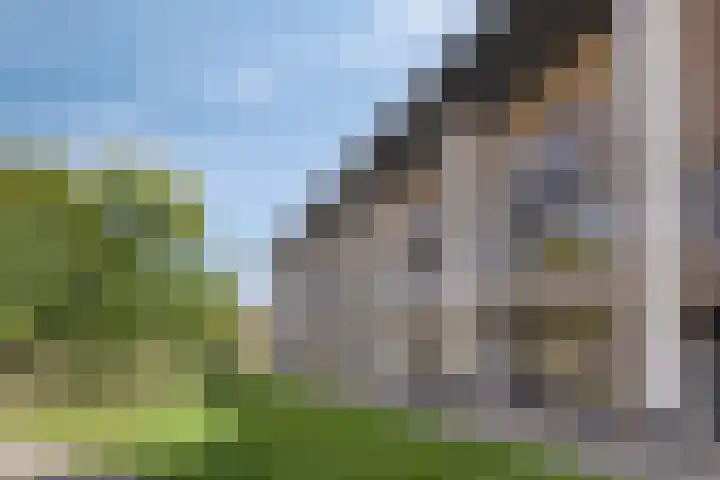 Ree 105 Veldhoven thumbnail 31