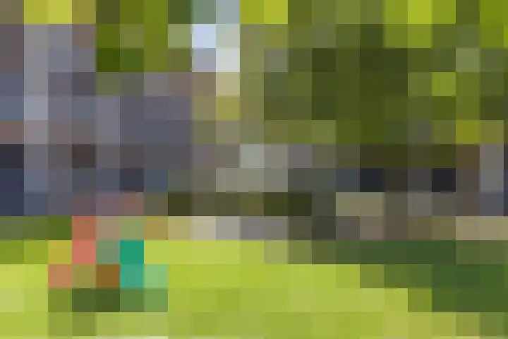 Ree 105 Veldhoven thumbnail 32