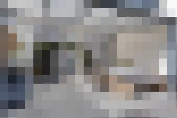 Ree 105 Veldhoven thumbnail 4