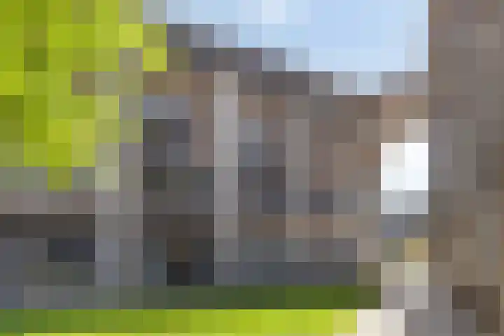 Ree 105 Veldhoven thumbnail 6
