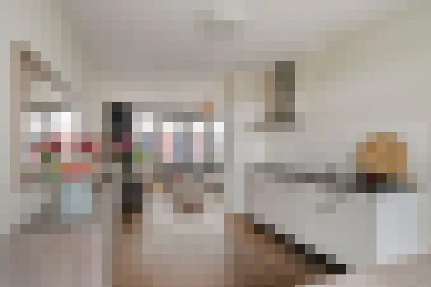 Ree 12 Veldhoven thumbnail 13