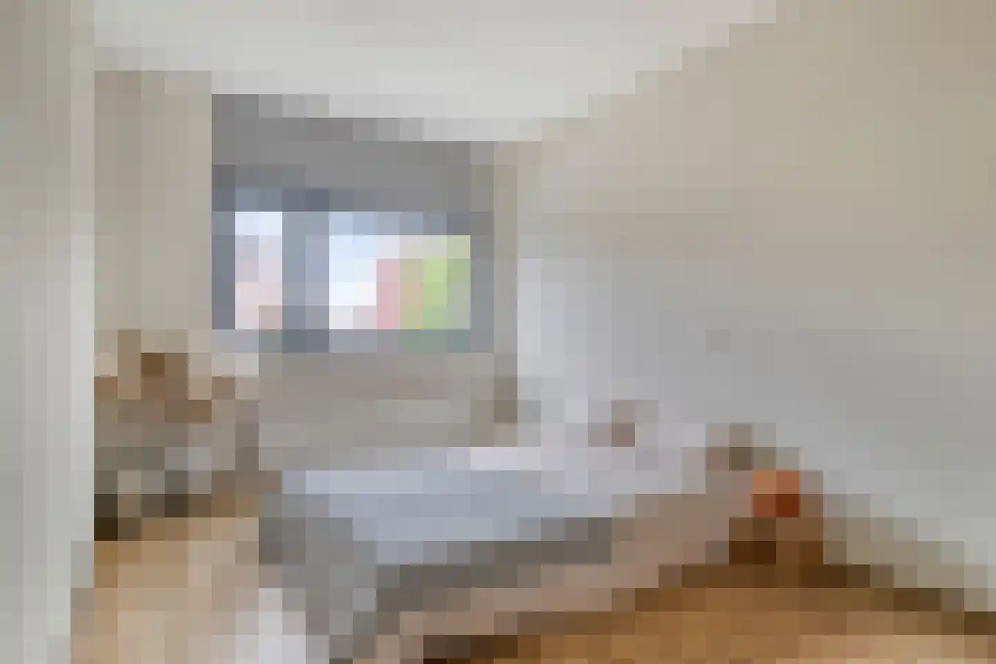 Ree 12 Veldhoven thumbnail 18