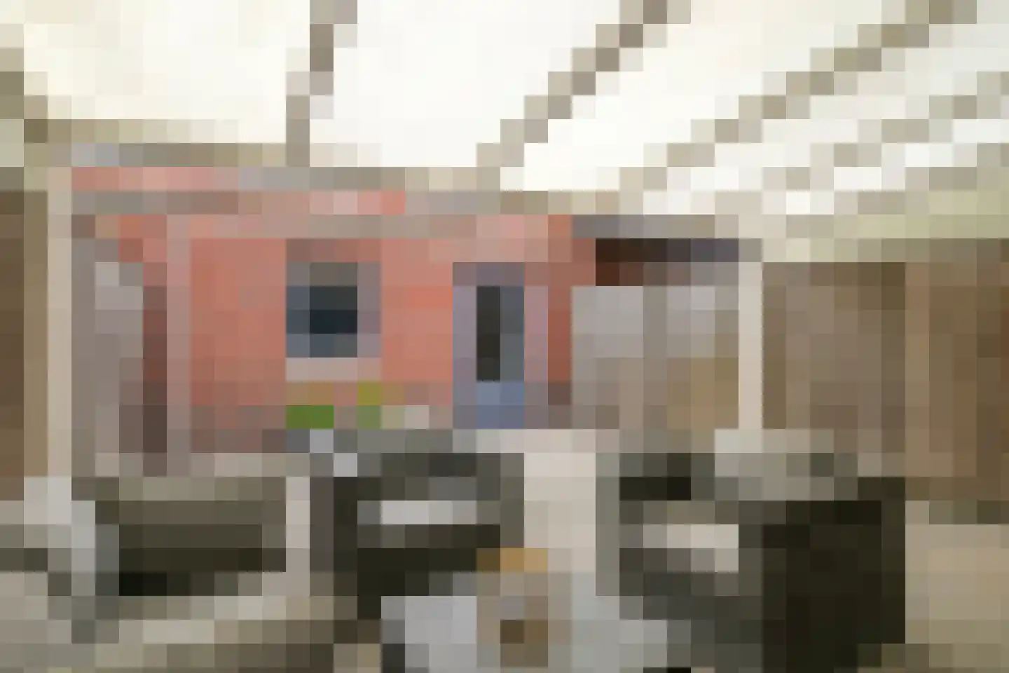 Ree 12 Veldhoven thumbnail 26